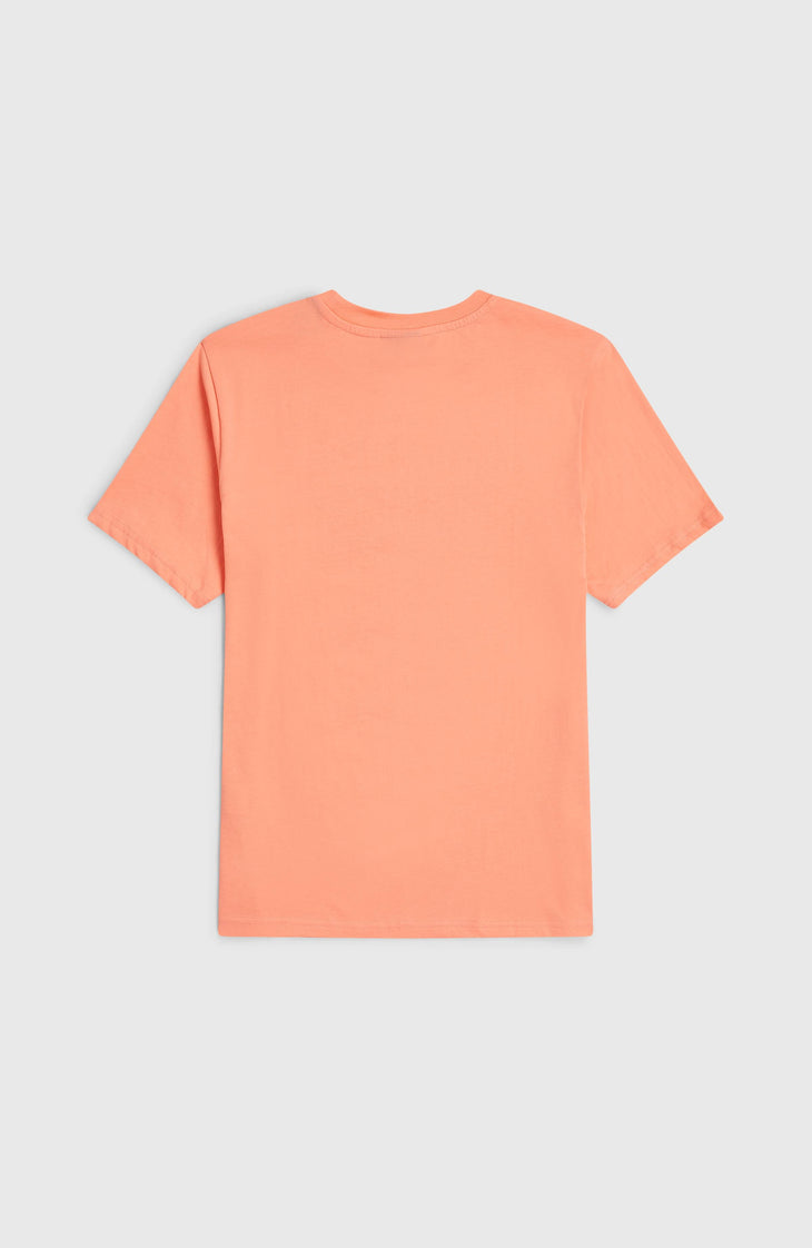 T-shirt O'Neill Muir | Funky Peach
