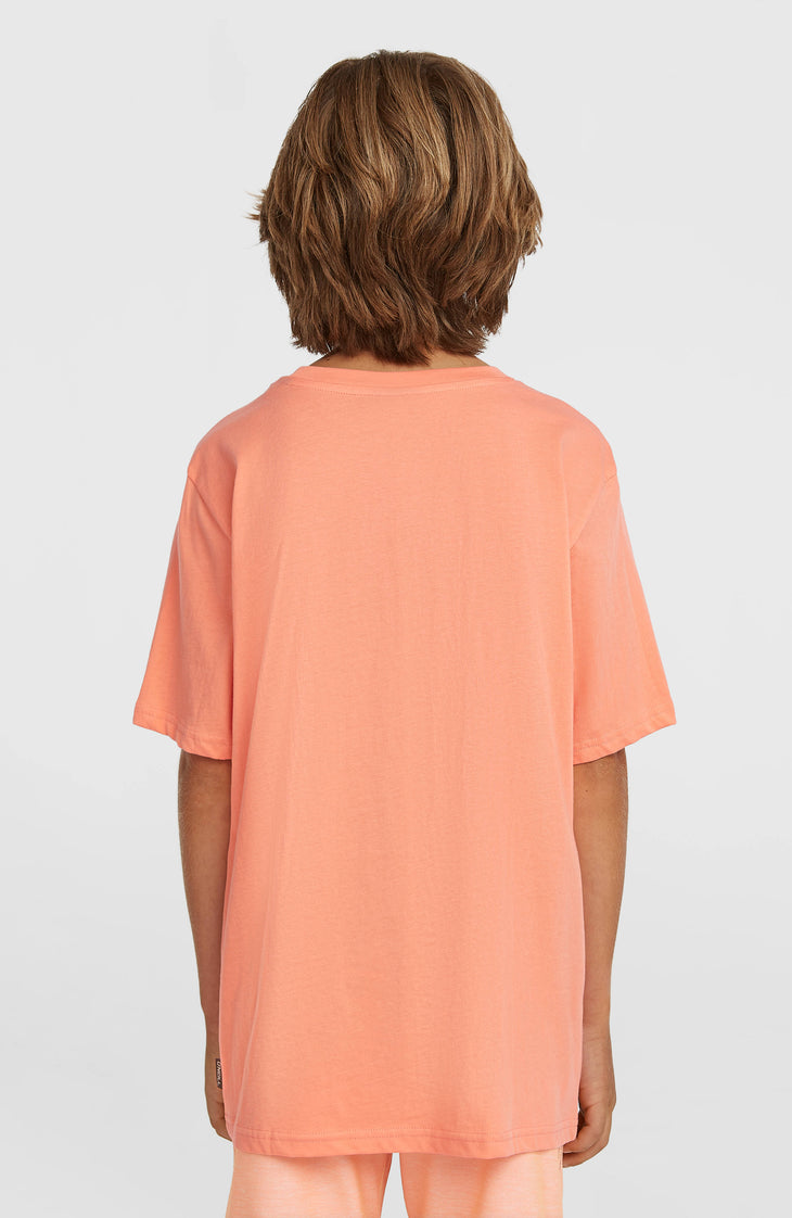 T-shirt O'Neill Muir | Funky Peach