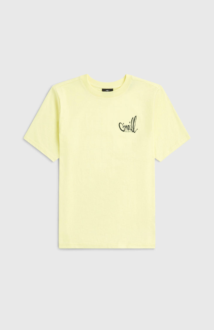 T-shirt O'Neill Chest-Print | Rainforest Dew