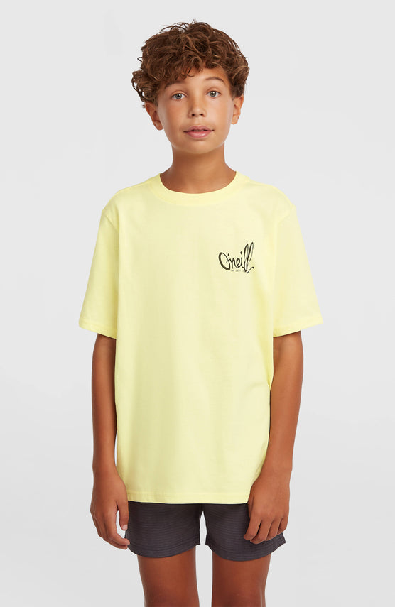 T-shirt O'Neill Chest-Print | Rainforest Dew