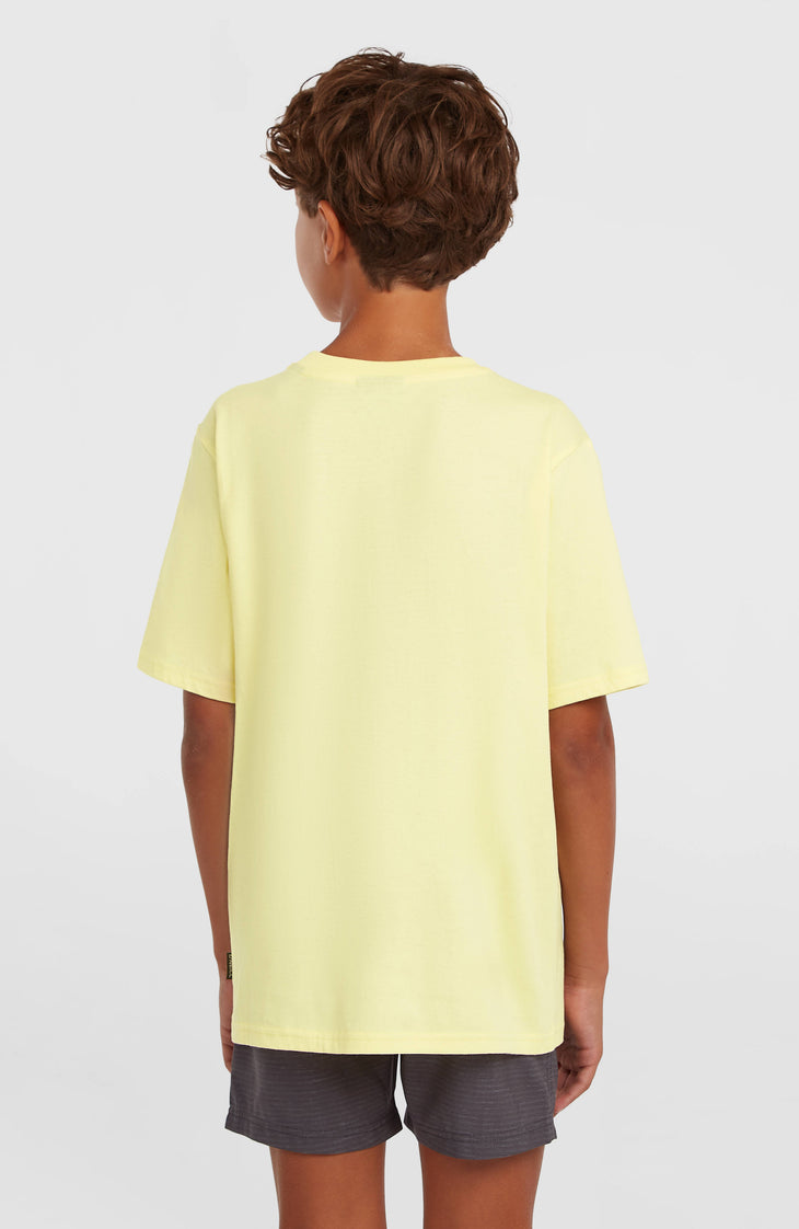 T-shirt O'Neill Chest-Print | Rainforest Dew