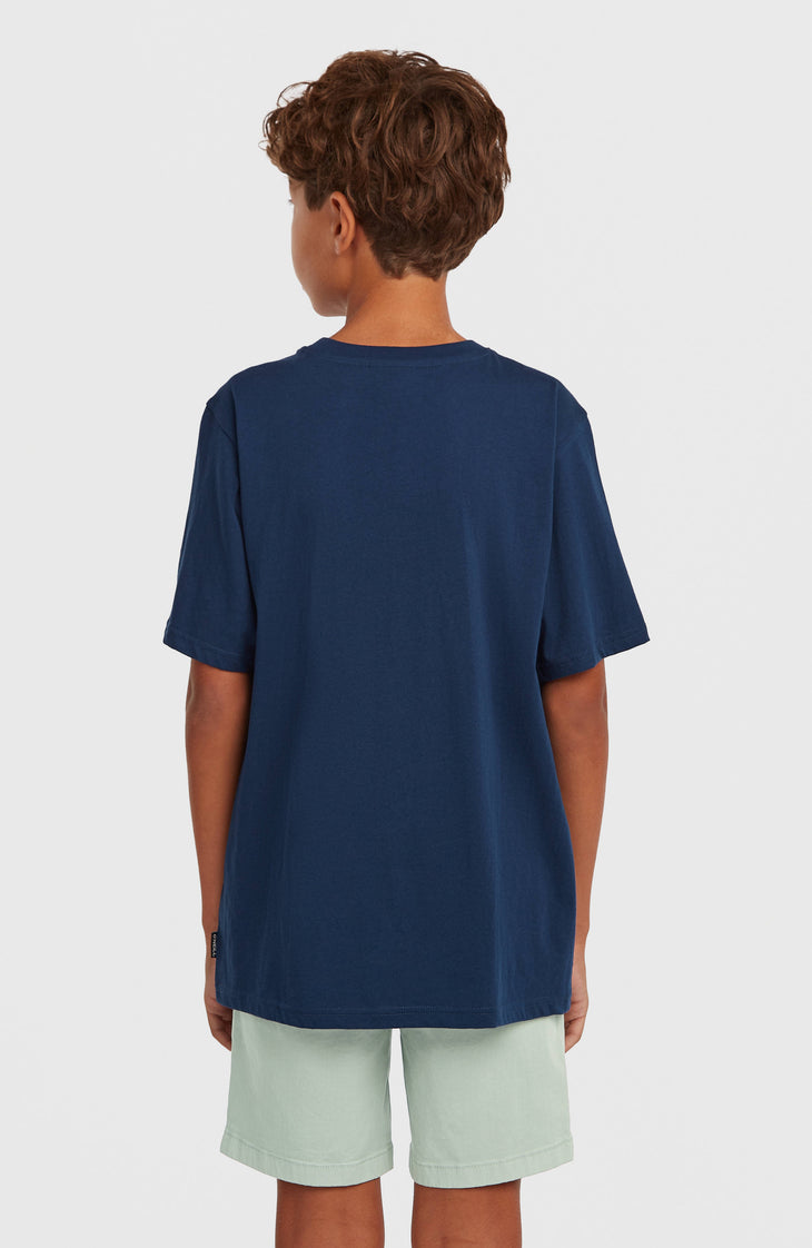 T-shirt O'Neill Chest-Print | English Evening
