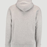 Sweat Capuche O'Neill | Silver Melee -A