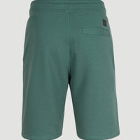 Sweatshort à logo O'Neill | Sea Pine