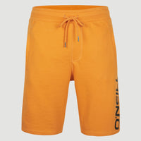 Sweatshort à logo O'Neill | Nugget