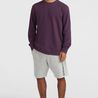 Sweatshort à logo O'Neill | Silver Melee -A