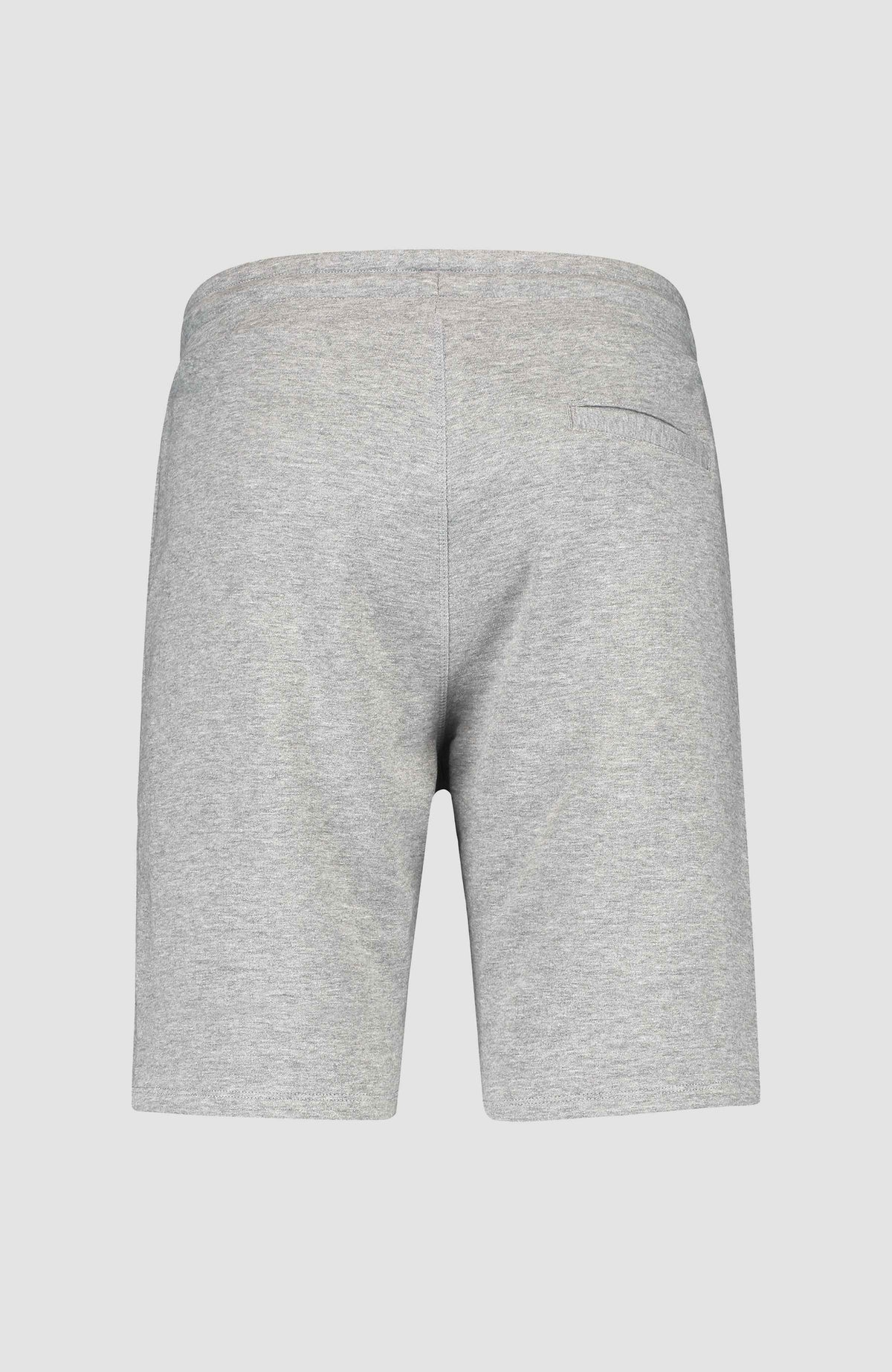 Sweatshort à logo O'Neill | Silver Melee -A