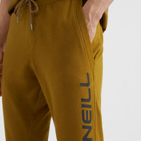 Pantalon de survêtement O'Neill Logo | Plantation