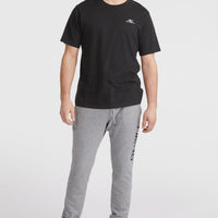 Pantalon de survêtement O'Neill Logo | Silver Melee -A