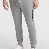 Pantalon de survêtement O'Neill Logo | Silver Melee -A
