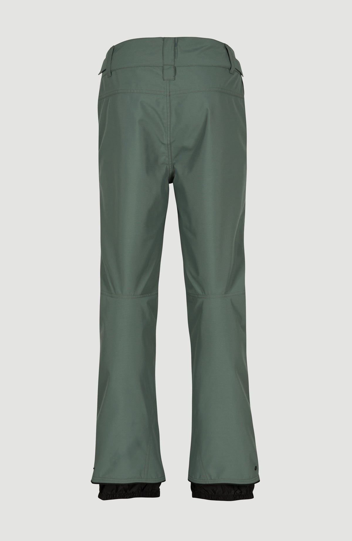 Pantalon de ski Hammer Regular | Balsam Green