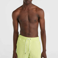 Short de bain Vert 16'' | Sunny Lime