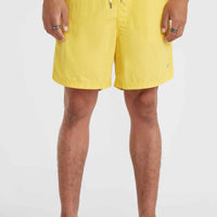 Short de bain Vert 16'' | Dandelion