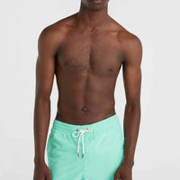 Short de bain Vert 16'' | Prism Pink