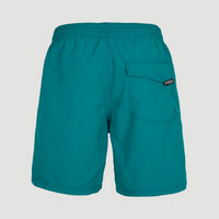 Short de bain Vert 16'' | Blue Coral