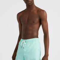 Short de bain Vert 16'' | Beach Glass