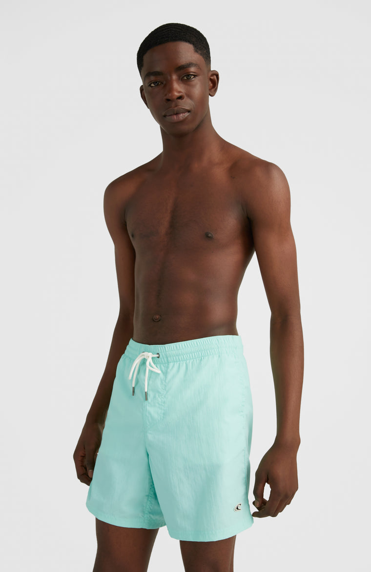 Short de bain Vert 16'' | Beach Glass