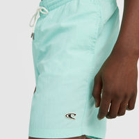 Short de bain Vert 16'' | Beach Glass