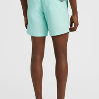 Short de bain Vert 16'' | Beach Glass