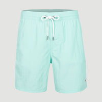 Short de bain Vert 16'' | Beach Glass