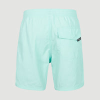 Short de bain Vert 16'' | Beach Glass