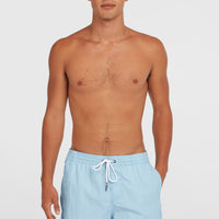 Short de bain Vert 16'' | Blue Topaz