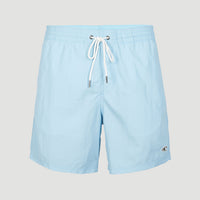 Short de bain Vert 16'' | Blue Topaz