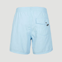 Short de bain Vert 16'' | Blue Topaz