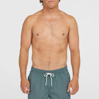 Short de bain Vert 16'' | North Atlantic