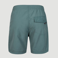 Short de bain Vert 16'' | North Atlantic