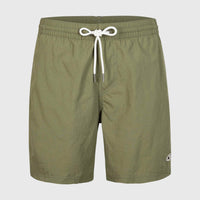 Short de bain Vert 16'' | Deep Lichen Green