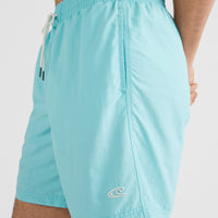 Short de bain Vert 16'' | Aqua Spalsh