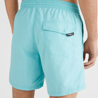 Short de bain Vert 16'' | Aqua Spalsh