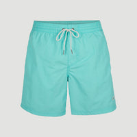 Short de bain Vert 16'' | Aqua Spalsh