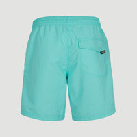 Short de bain Vert 16'' | Aqua Spalsh