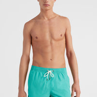 Short de bain Vert 16'' | Sea Green