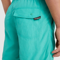 Short de bain Vert 16'' | Sea Green