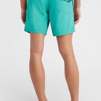 Short de bain Vert 16'' | Sea Green