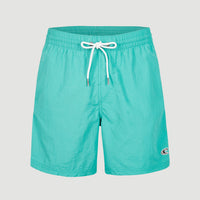 Short de bain Vert 16'' | Sea Green