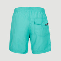 Short de bain Vert 16'' | Sea Green