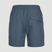 Short de bain Vert 16'' | Dusty Blue -A