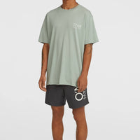 Short de bain Original Cali 16'' | Asphalt