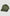 Casquette Wave | Olive Leaves -A
