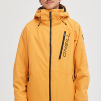 Veste de snow Hammer | Nugget