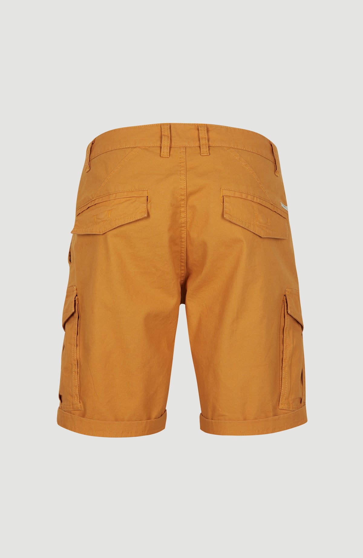 Beach Break Cargo Shorts | Nugget