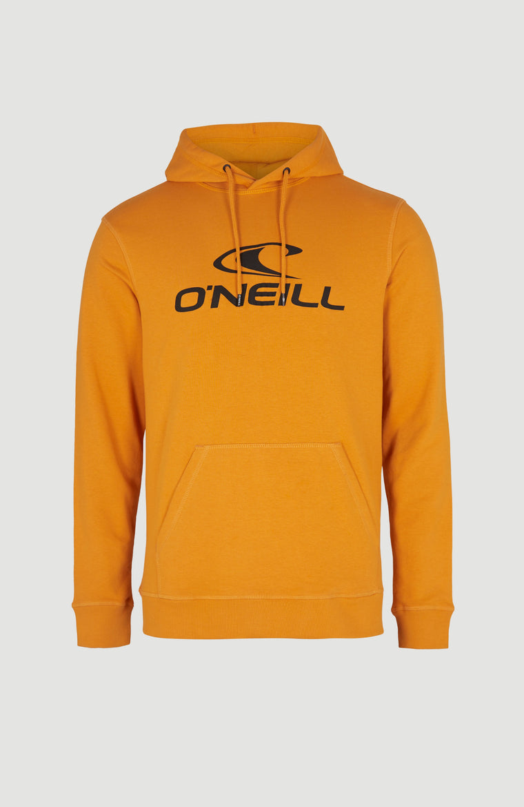 Sweat à capuche O'Neill Logo | Nugget