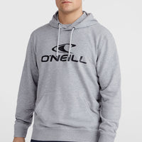 Sweat à capuche O'Neill Logo | Silver Melee