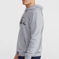 Sweat à capuche O'Neill Logo | Silver Melee