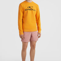 Sweatshirt à col rond et logo O'Neill | Nugget