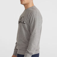 Sweatshirt à col rond O'Neill Logo | Silver Melee